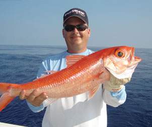 Queen Snapper being held up with both hands