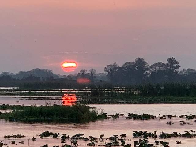 Sunset on the lake